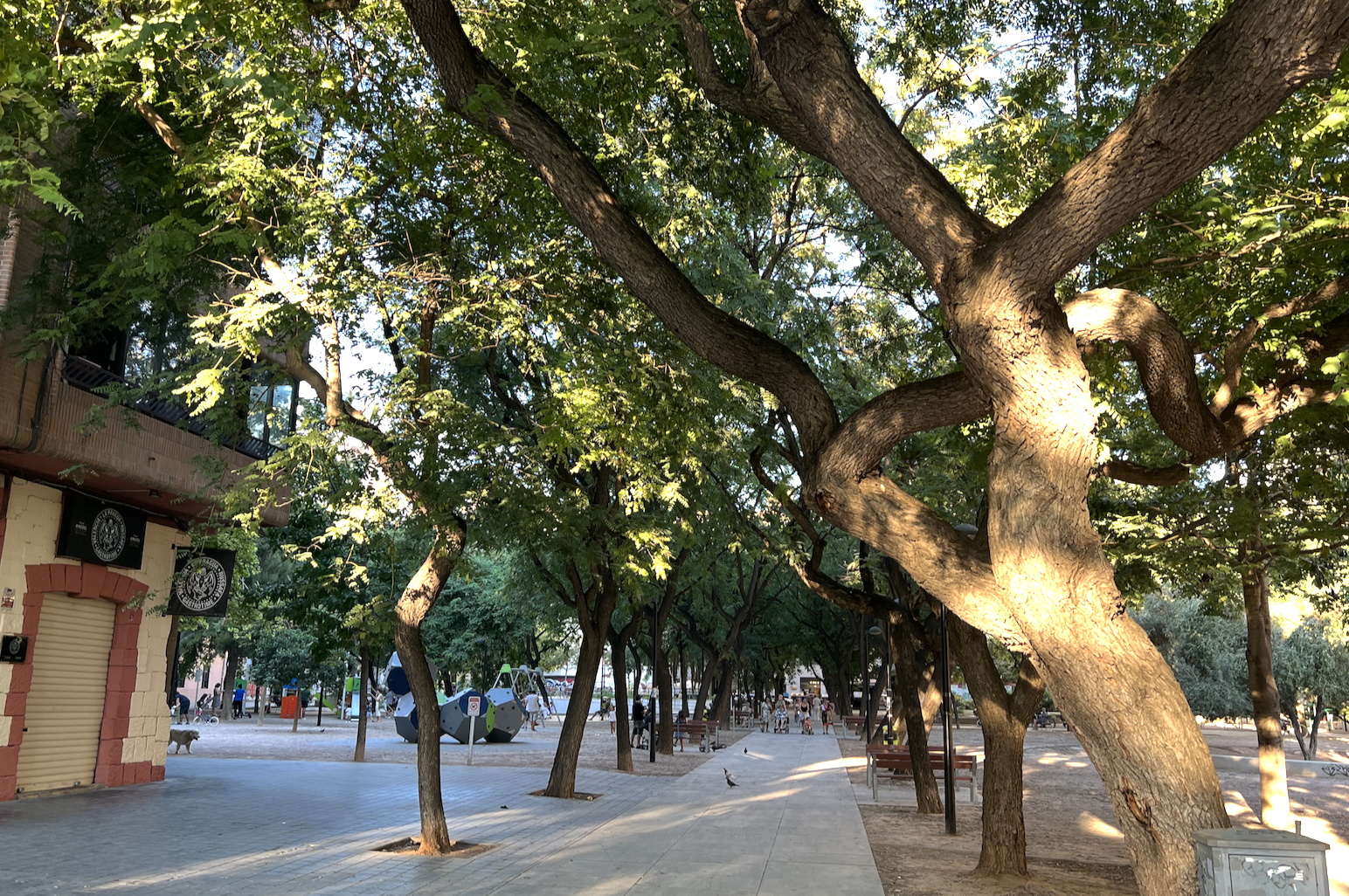 Valencia for a Month