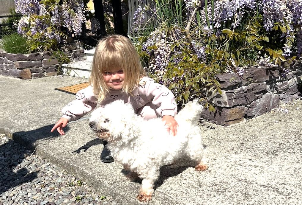 Stories from the South