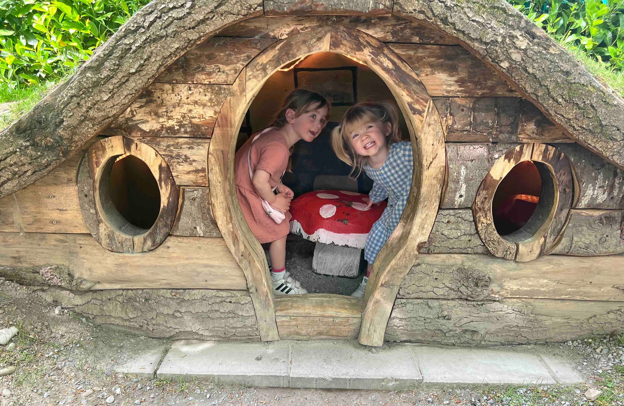 Dinosaurs in Kilkenny