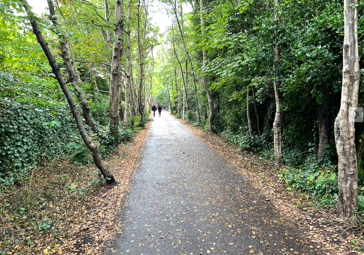 Long Talks and Walks