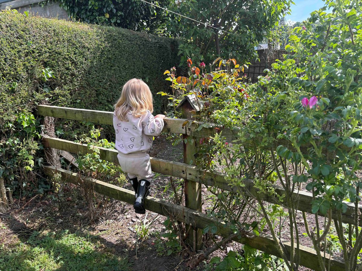 Stories from the South