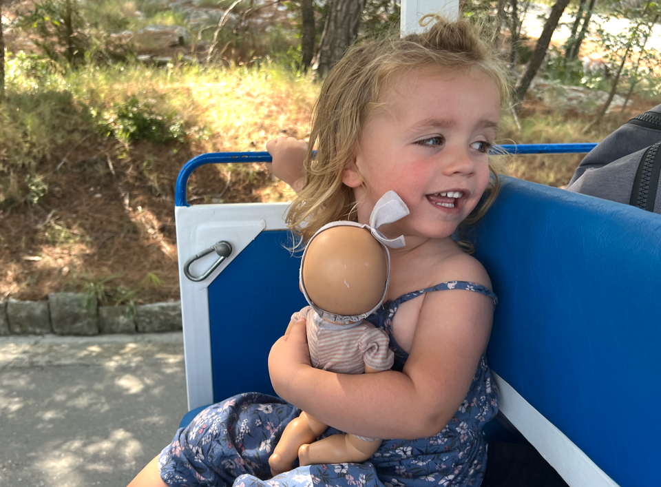 Rethinking Tourist Trains