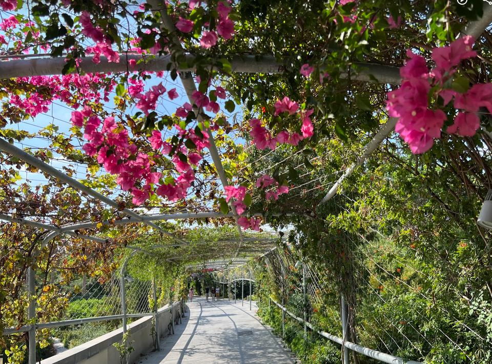 Parks and Recreation